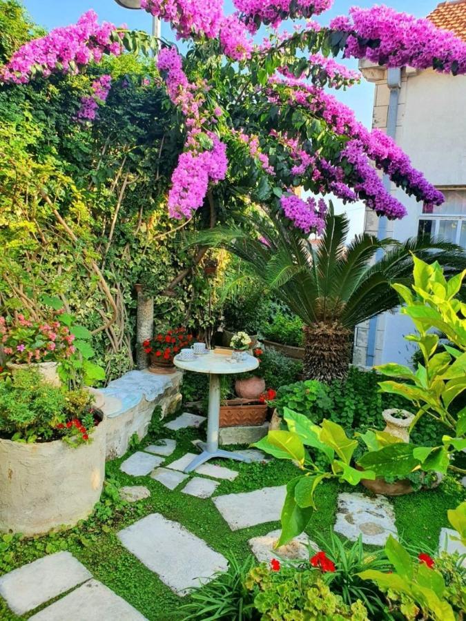 Rooms Garden - With A View دوبروفينك المظهر الخارجي الصورة